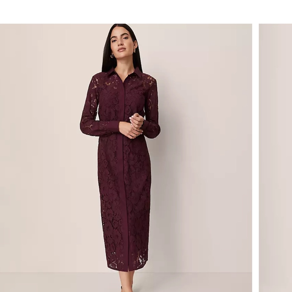 Ann Taylor Burgundy Lace Long Sleeve Dress